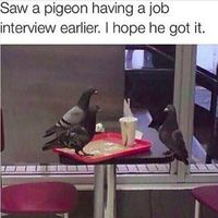 Un entretien d'embauche