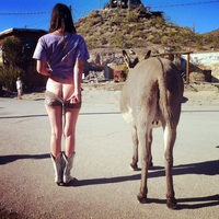 2 asses = 1 ass + 1 ass