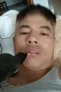 Mais y a rien à bouffer ici ?