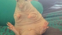 Un rat et ses....