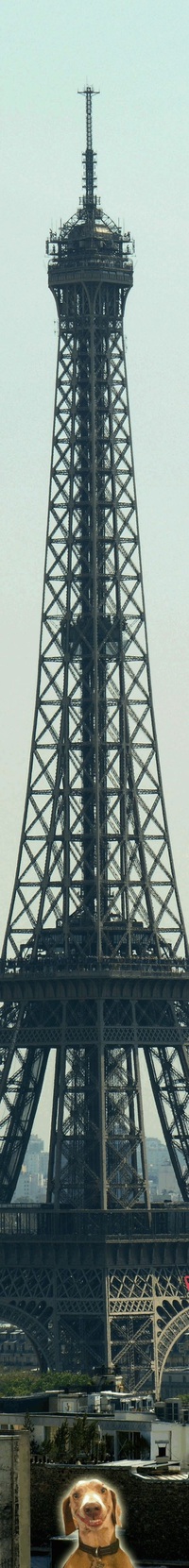La tour Eiffel