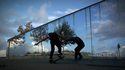 A skate regeneration