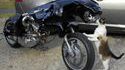 Moto jaguar