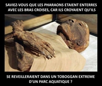 Les vraies raison pour lesquelles...