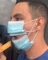 Futé le gourmant masqué