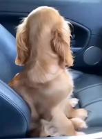 Only youhouuuuuuuuuuuuuu