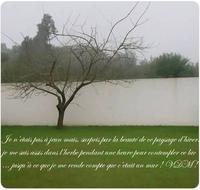 Un peu de romantisme dans ce monde d'éthyliques