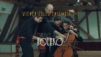 coloc de violoncelle