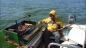Barbecue en haute mer