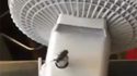 Weeeeeee !