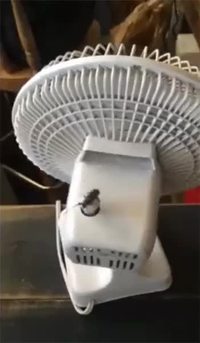 Weeeeeee !