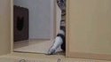 Approche-toi, humain