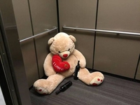 Déclaration loupée