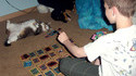Jouer aux cartes avec son chat