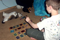 Jouer aux cartes avec son chat
