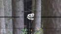 Airsoft Troll 