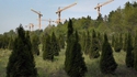 La société moderne