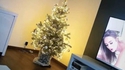 Il est temps que je démonte mon sapin