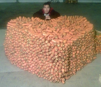 Un fan de carottes