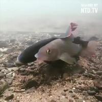 Ça y va sous l’eau 