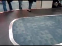 Pendant ce temps, à l'aéroport