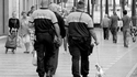 Chien policier