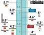 Les tailles du zigouigoui dans le monde