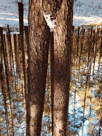 Avoir l'esprit mal tourné... et la photo aussi !
