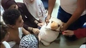 Une peluche