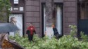Un arbre coupé au milieu des piétons