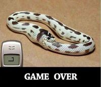 Snake IRL
