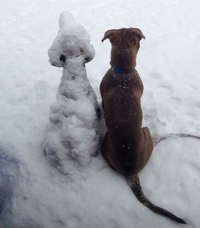 Deux copains