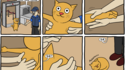Quand un chat va à l'aéroport