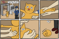 Quand un chat va à l'aéroport