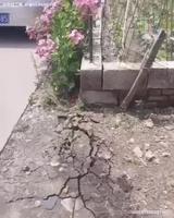 Qu’est ce donc ?