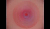 Voir en cercle