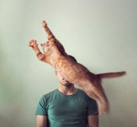 Atttention, le petit oiseau va sortir...