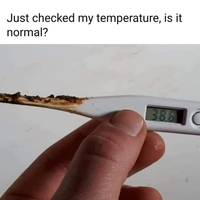 Je viens de prendre ma température, RAS ?