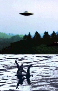La plus incroyable photo jamais prise