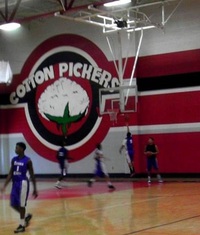 Les Cueilleurs de Coton