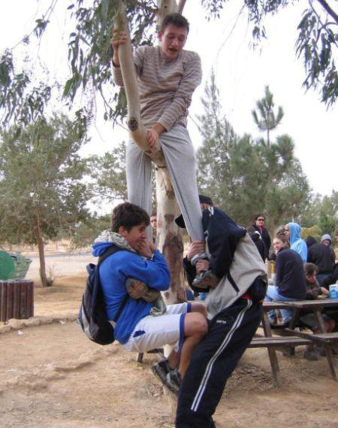 Un adolescent se fait piéger par deux amis sur une branche d'arbre.