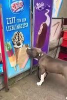 Qui ne la pas déjà fait 