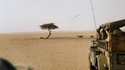 L'arbre le plus isolé du monde