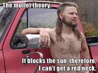 La théorie du mullet