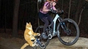 à bicyclette