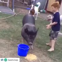 Futur roi des nains