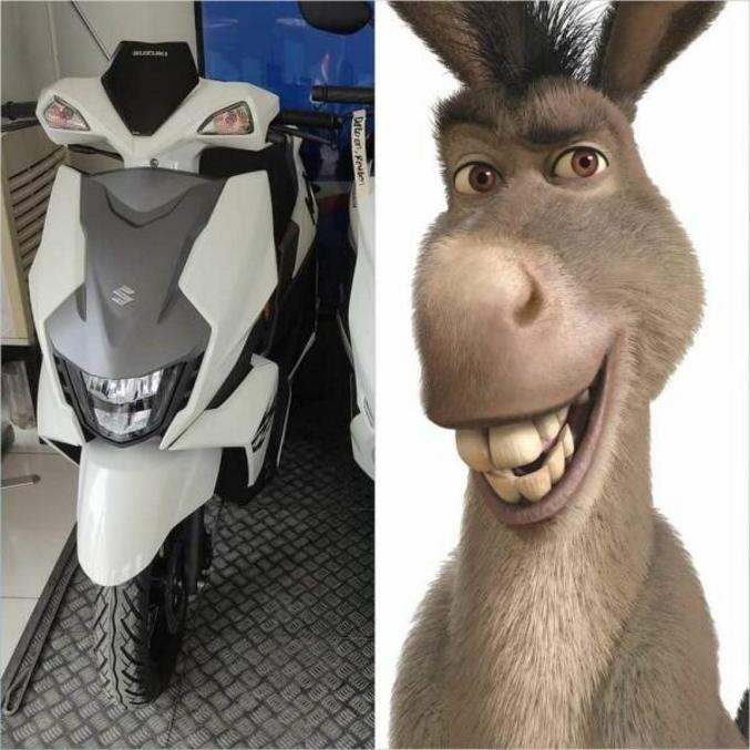 Donkey !