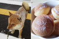 Shibeignet Inu
