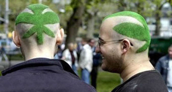 Une coupe de coiffure cannabis.