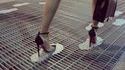 Jeu de plateforme pour femme